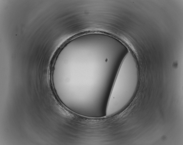 X0000091581076200708201008