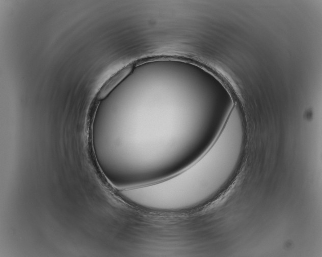 X0000091581077200708201008