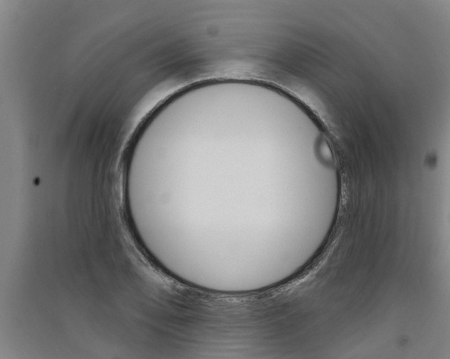 X0000091581078200708201008