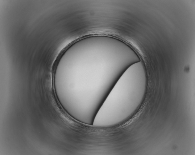 X0000091581079200708201008