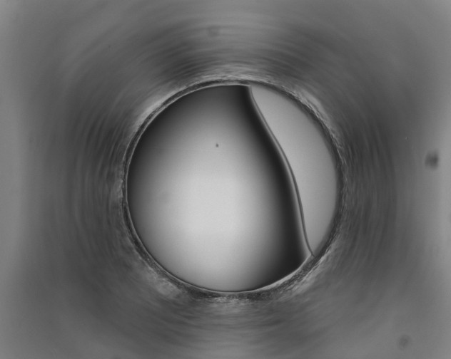 X0000091581081200708201008