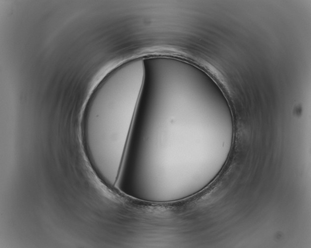 X0000091581082200708201008