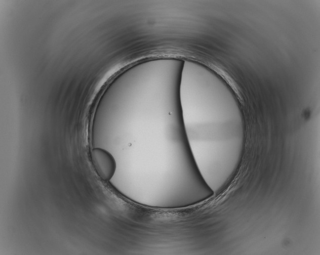 X0000091581083200708201008