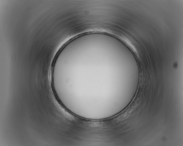 X0000091581084200708201008