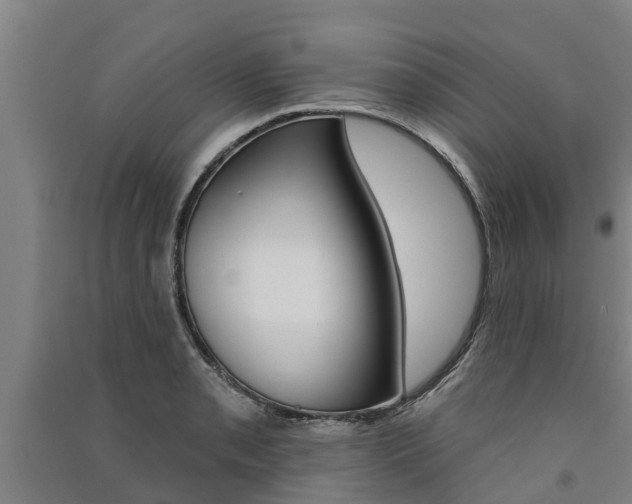 X0000091581085200708201008