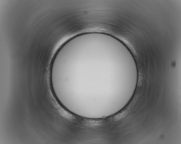X0000091581086200708201008