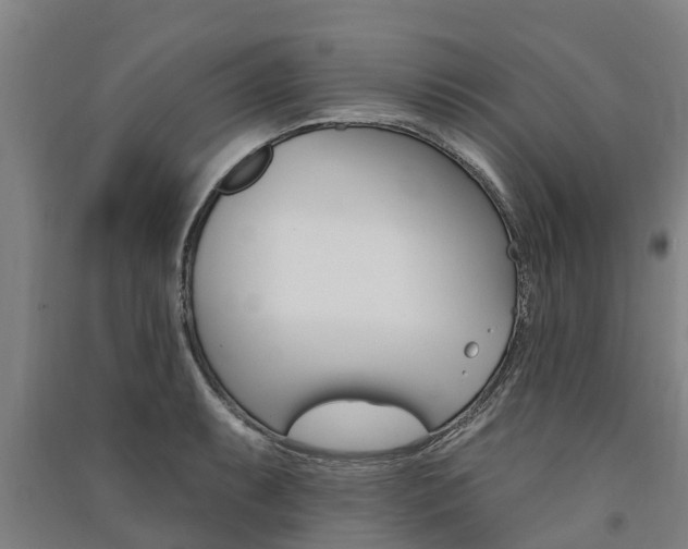 X0000091581087200708201008
