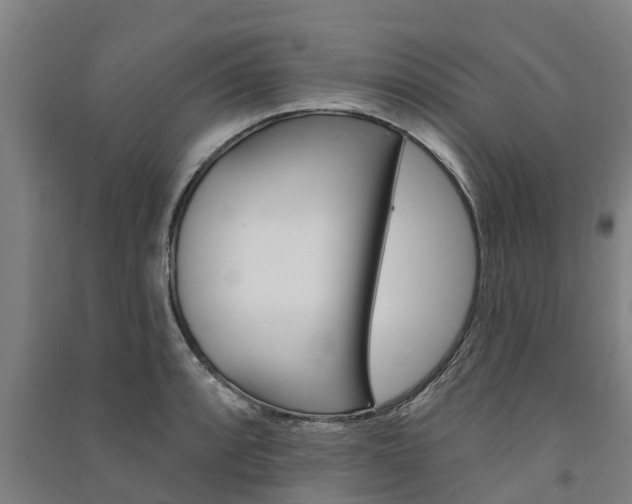 X0000091581088200708201008