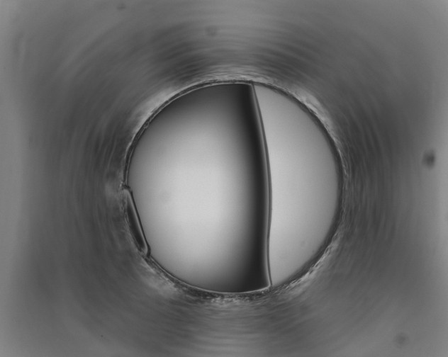 X0000091581089200708201008