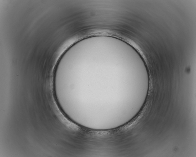 X0000091581090200708201008