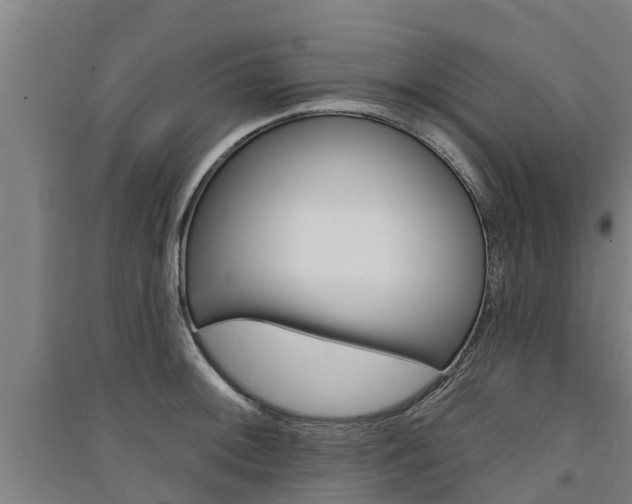 X0000091581092200708201008