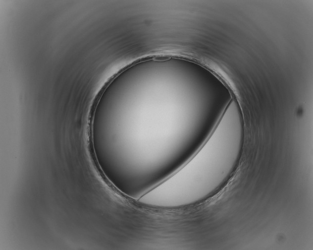 X0000091581093200708201008