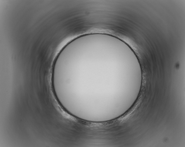 X0000091581094200708201008