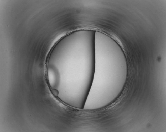X0000091581095200708201008