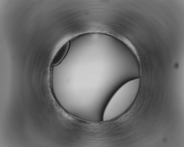 X0000091581096200708201008