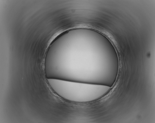 X0000091581097200708201008