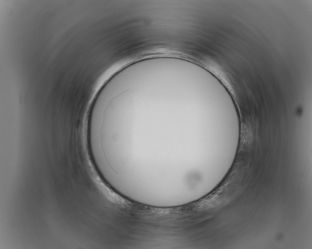 X0000091581098200708201008