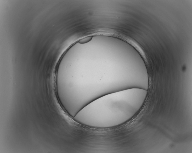 X0000091581099200708201008
