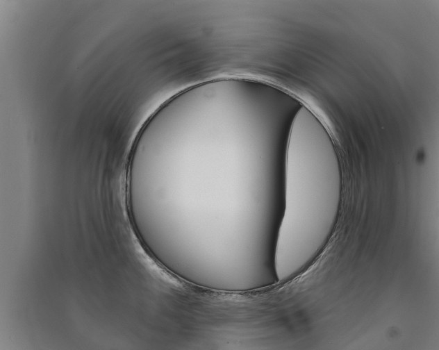 X0000091581100200708201008