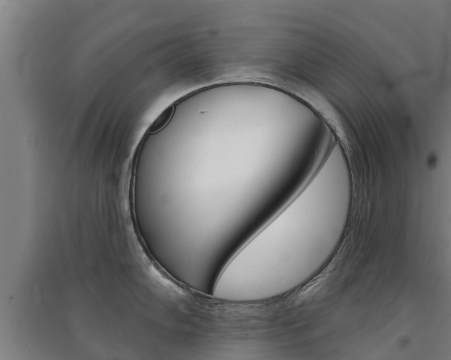 X0000091581102200708201008