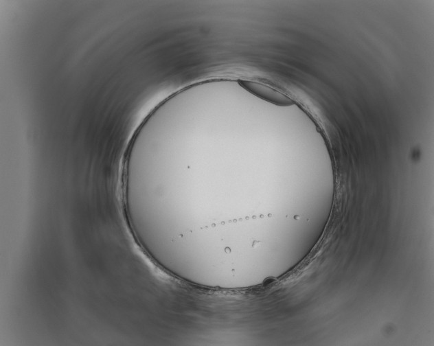 X0000091581103200708201008