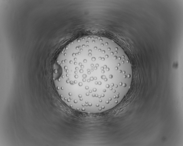 X0000091581105200708201007