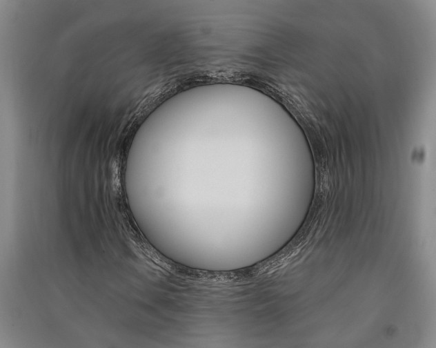X0000091581106200708201007