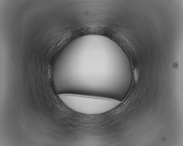 X0000091581107200708201007