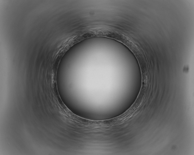 X0000091581108200708201007