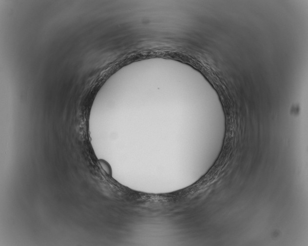 X0000091581109200708201007