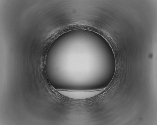 X0000091581110200708201007