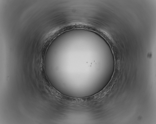 X0000091581111200708201007