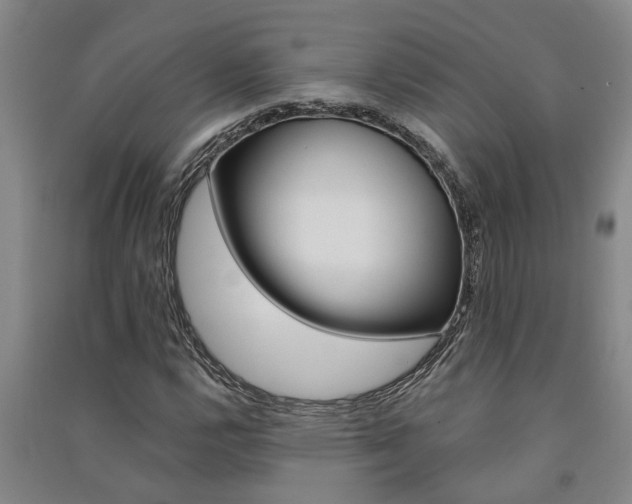 X0000091581112200708201007