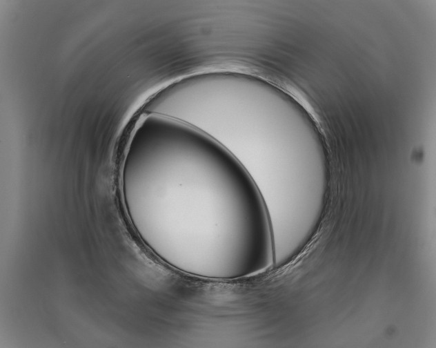 X0000091581116200708201007