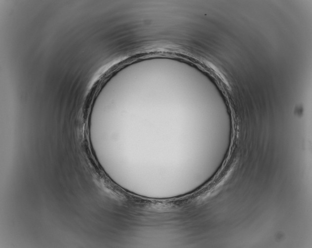 X0000091581117200708201007