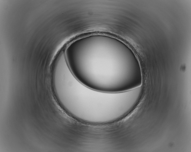X0000091581118200708201007
