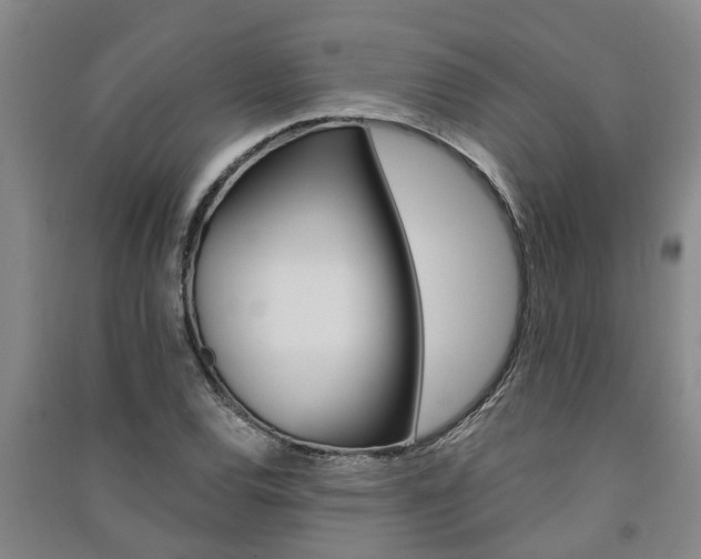 X0000091581120200708201007