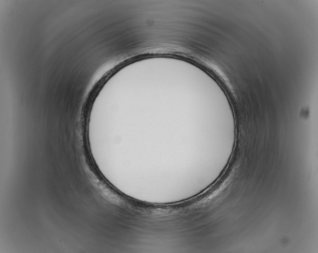 X0000091581122200708201007