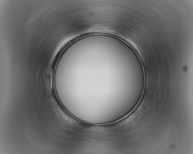 X0000091581123200708201007