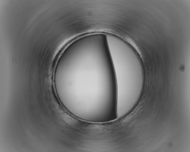 X0000091581124200708201007
