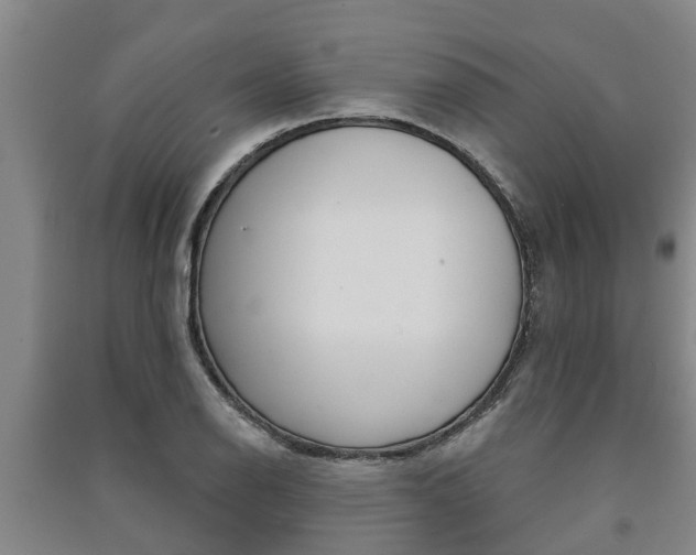 X0000091581126200708201007