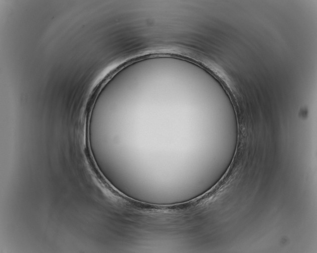 X0000091581127200708201007