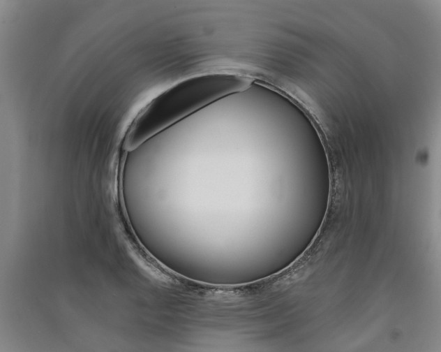 X0000091581128200708201007