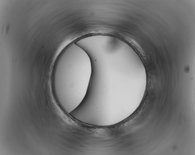 X0000091581130200708201007