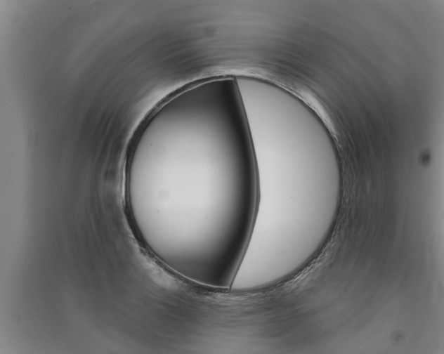 X0000091581132200708201007