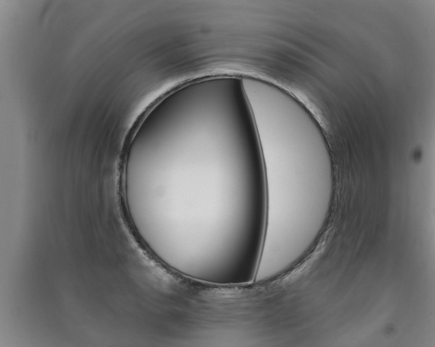 X0000091581134200708201007