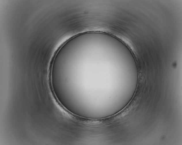 X0000091581135200708201007