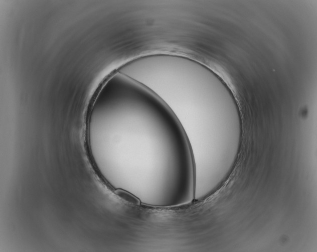 X0000091581136200708201007