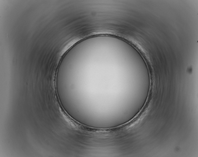 X0000091581137200708201007