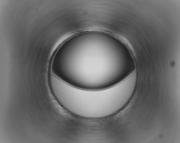 X0000091581138200708201007
